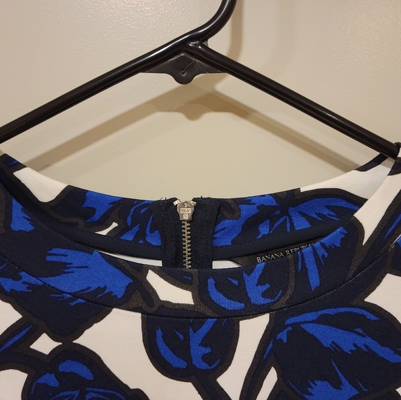 Blue Ivy Shell - Picture 3 of 7